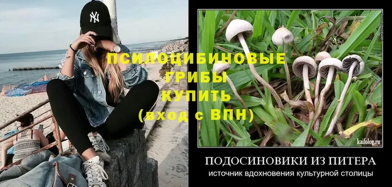 Галлюциногенные грибы Magic Shrooms  Западная Двина 